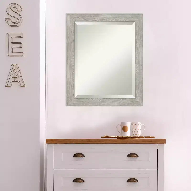 Miroir mural étroit encadré Dove 20" x 24" Gris délavé - Biseauté, Cadre en polystyrène, Aucun assemblage requis